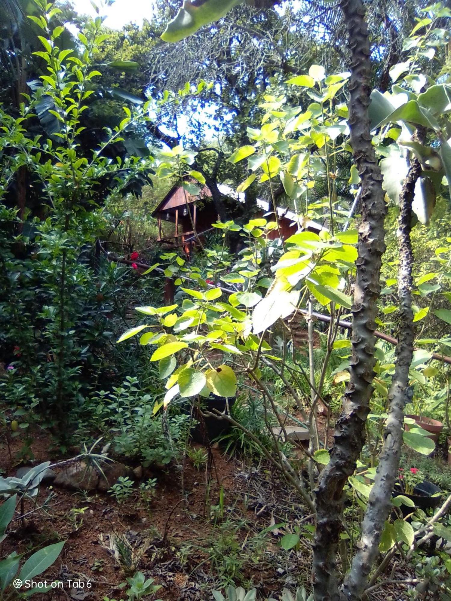 Villa Pumba'S Lookout Barberton Esterno foto